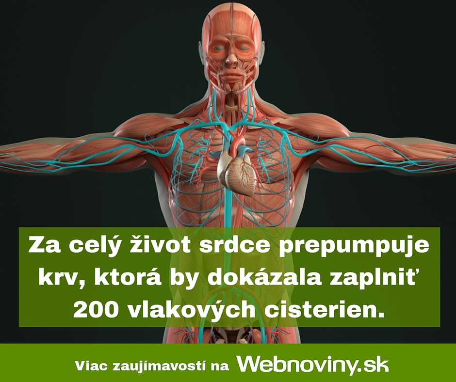Fakt