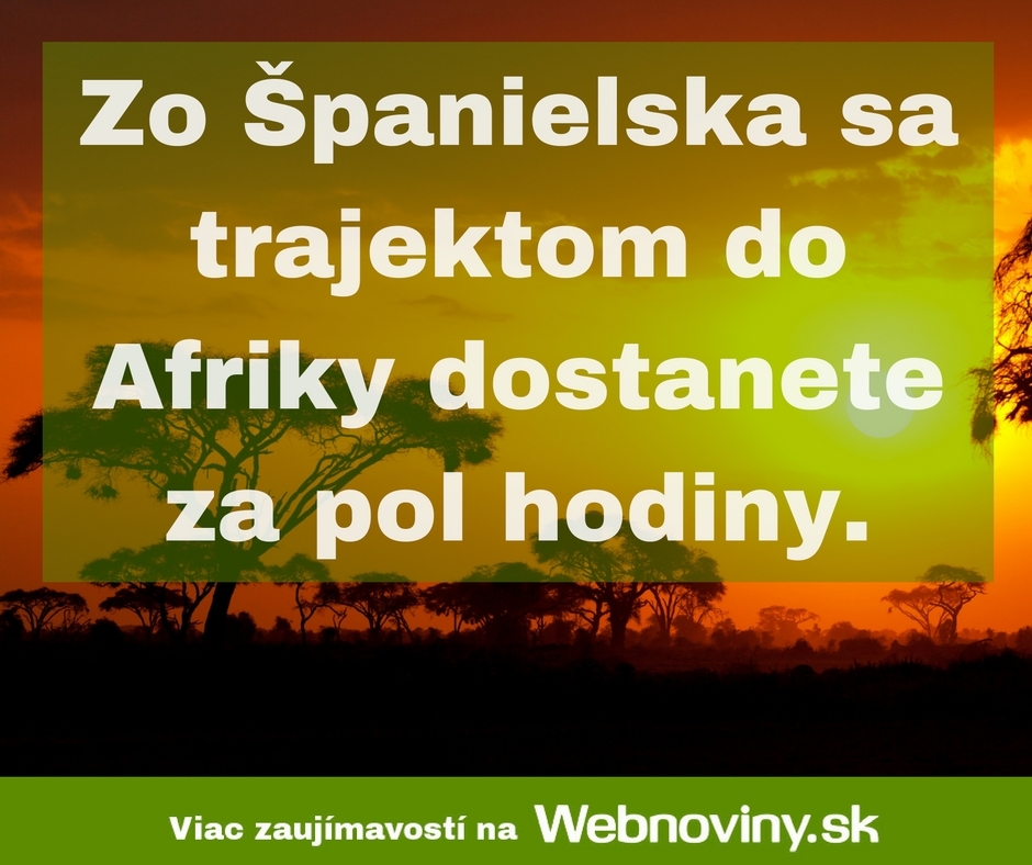 Fakt