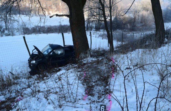 Auto narazilo do stromu, 27 ročný vodič zomrel