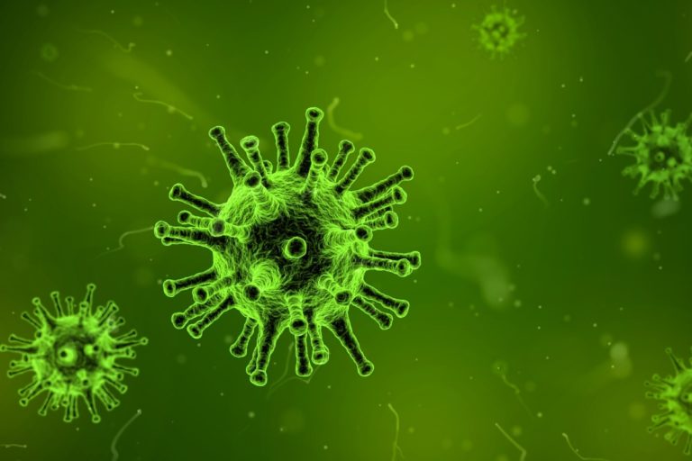 Chripka_virus.jpg