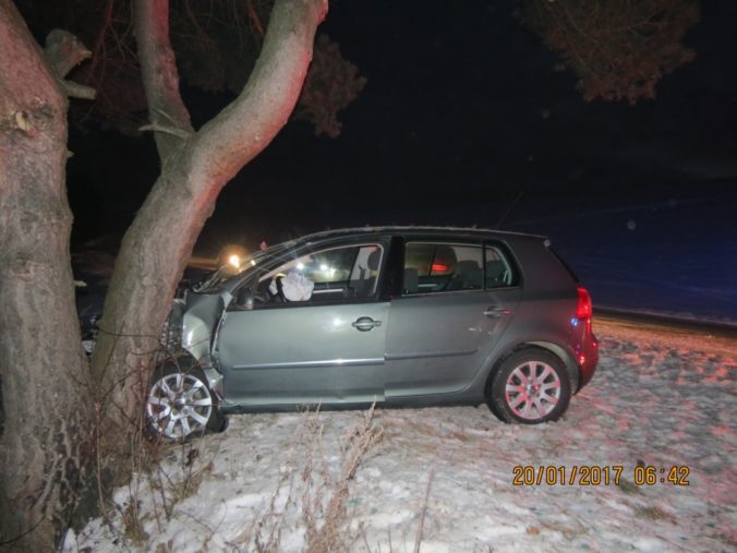 Opitý vodič vrazil pri Považskej Bystrici do stromu