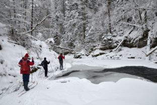 Zamrznutý Hornád v Slovenskom raji