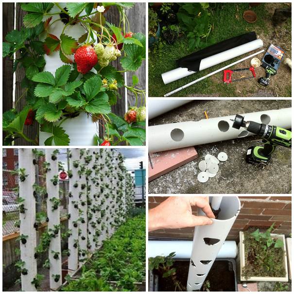 30 creative uses of pvc pipes in your home and garden 5.jpg