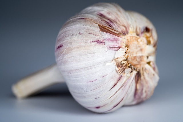 Garlic 1827017_640