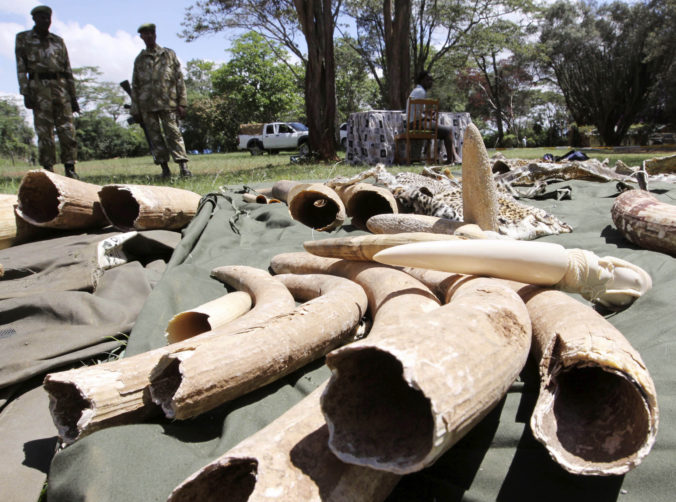 Kenya Ivory Trafficker