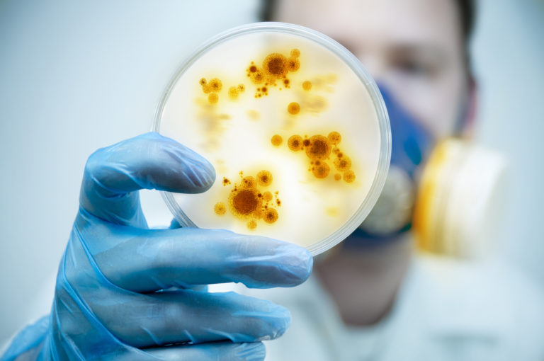 Baktérie rezistentné voči antibiotikám