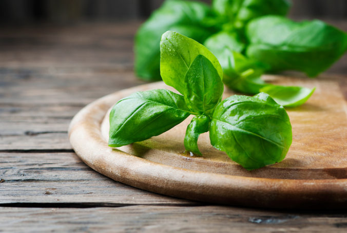 Fresh green basil on the wooden table