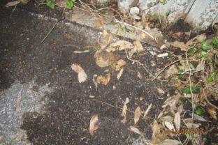 BRATISLAVA: Granát pri jarnom upratovaní
