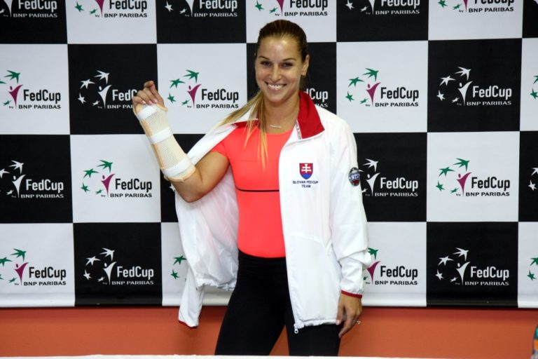 Dominika Cibulková