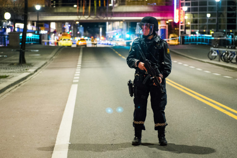 Nórska polícia