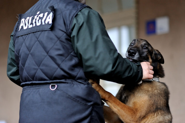 POLÍCIA