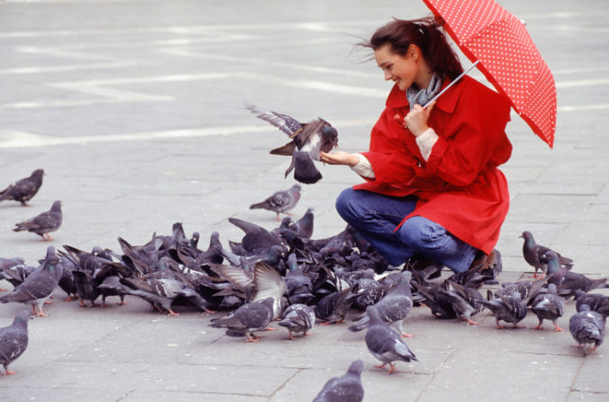 Young woman feeding pigeons