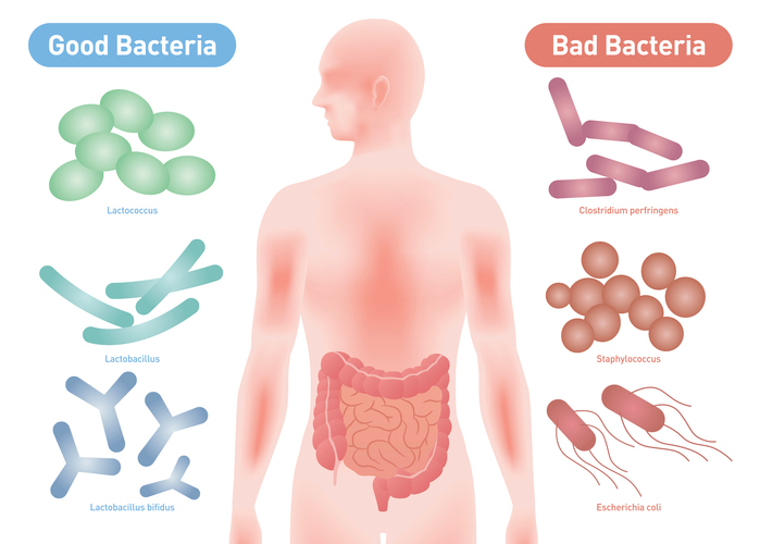Good Bacteria and Bad Bacteria