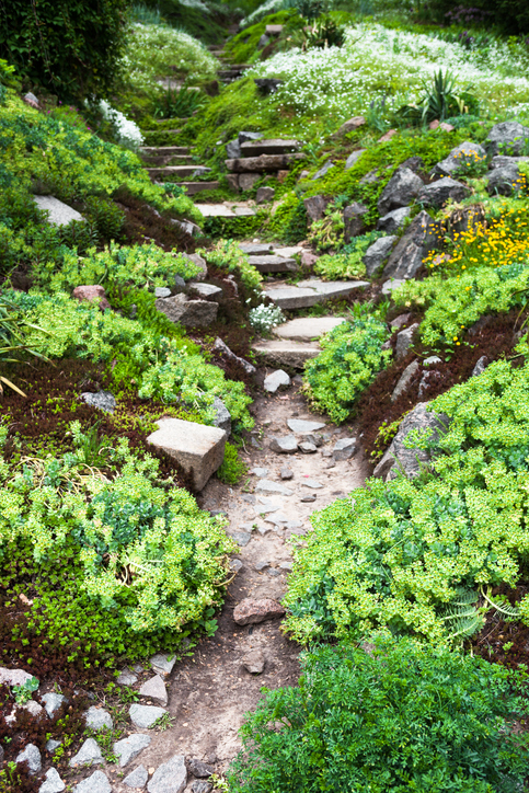 Stony path and stairs in the green garden