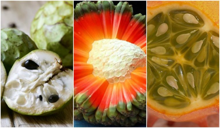 Befunky collage 22.jpg