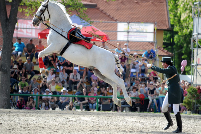 Národný žrebčín Topoľčianky