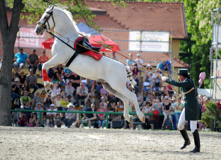 Národný žrebčín Topoľčianky