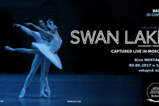 Swan lake webn.jpg