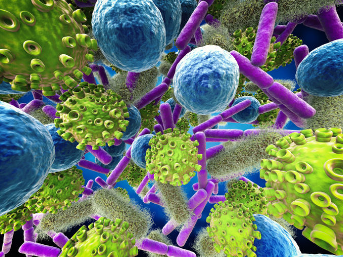 Baktérie, vírusy
