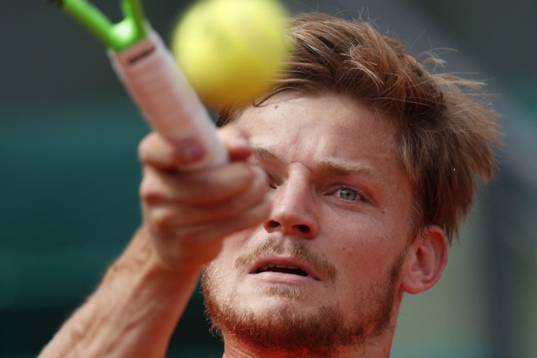 David Goffin