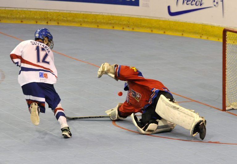 HOKEJBAL: Slovensko - Česko