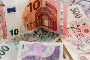 česká koruna, euro, peniaze