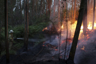 Lesný požiar v Portugalsku