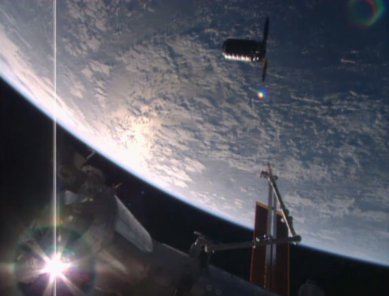 Cygnus