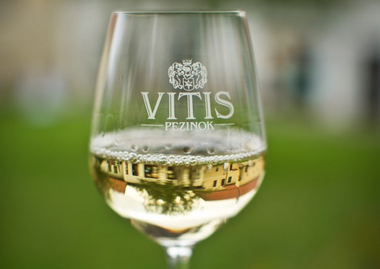 Vitis.jpg
