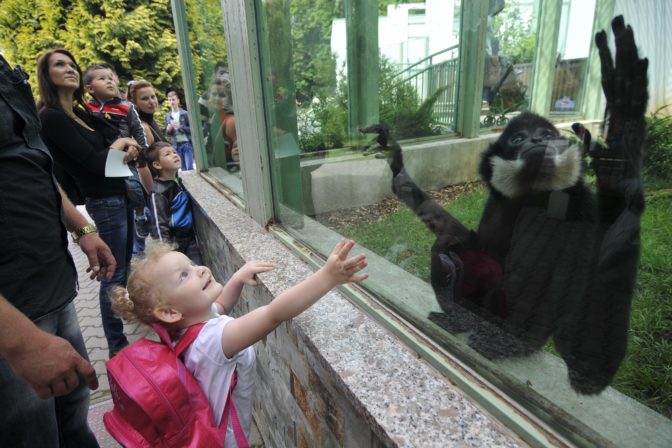 ZOO Bojnice