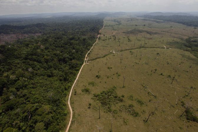 Brazília, Amazonský prales
