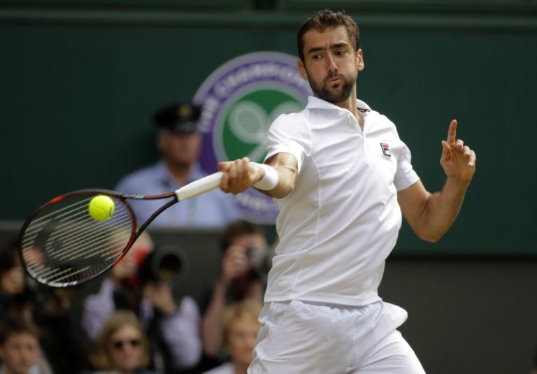 Marin Čilič