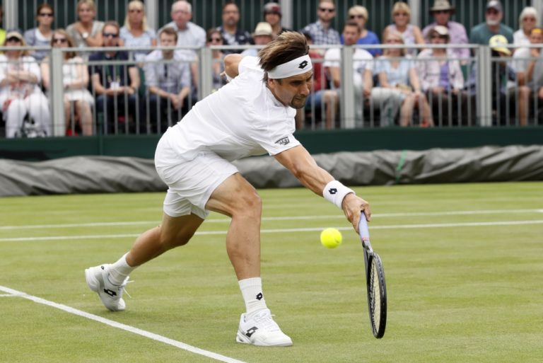 David Ferrer