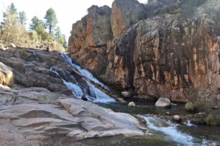 Tonto National Forest