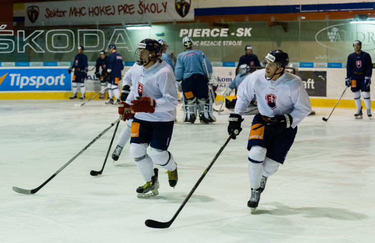 Marián Studenič, Michal Hlinka