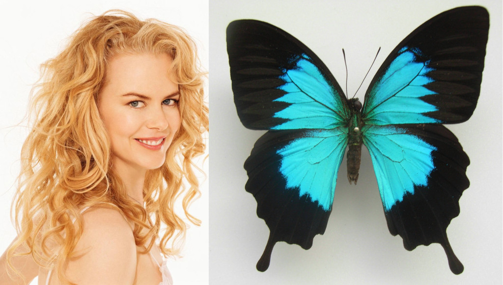 Nicole kidman.jpg