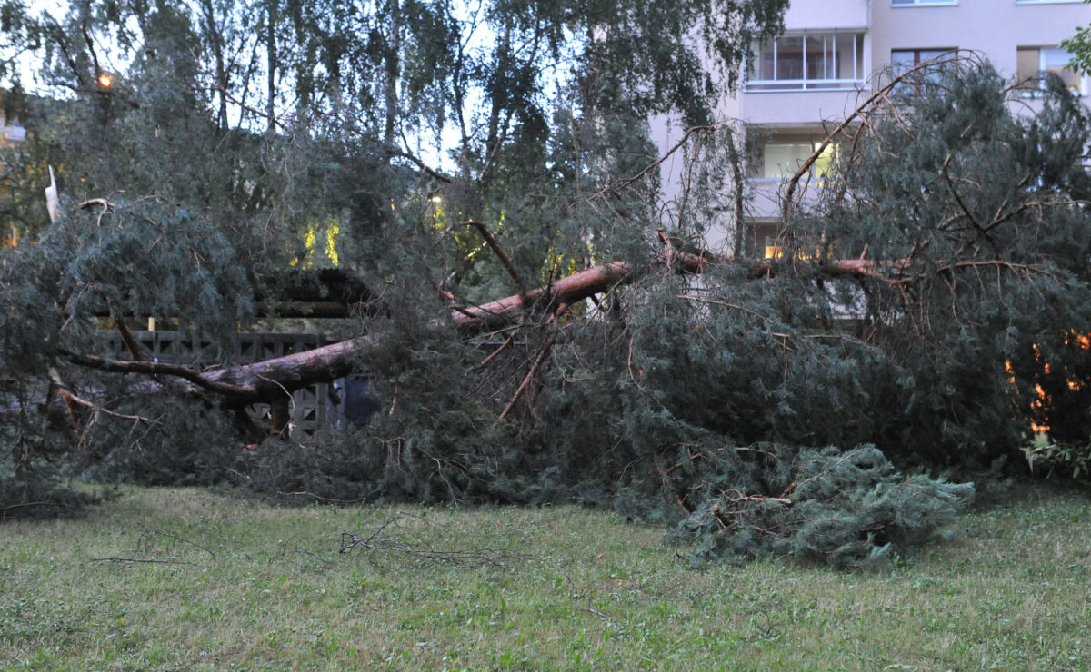PREŠOV: Búrka s víchricou