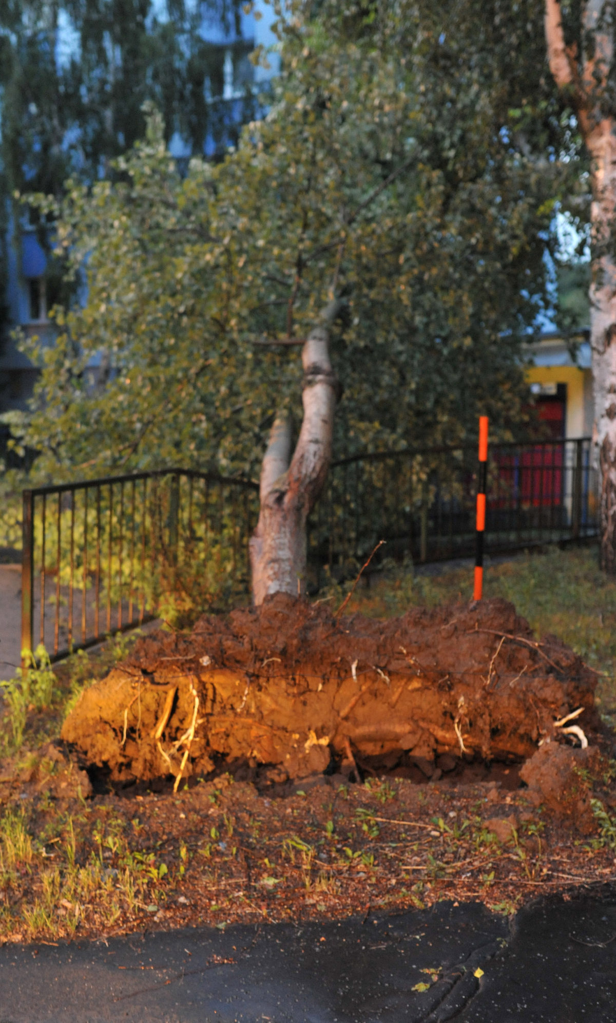 PREŠOV: Búrka s víchricou