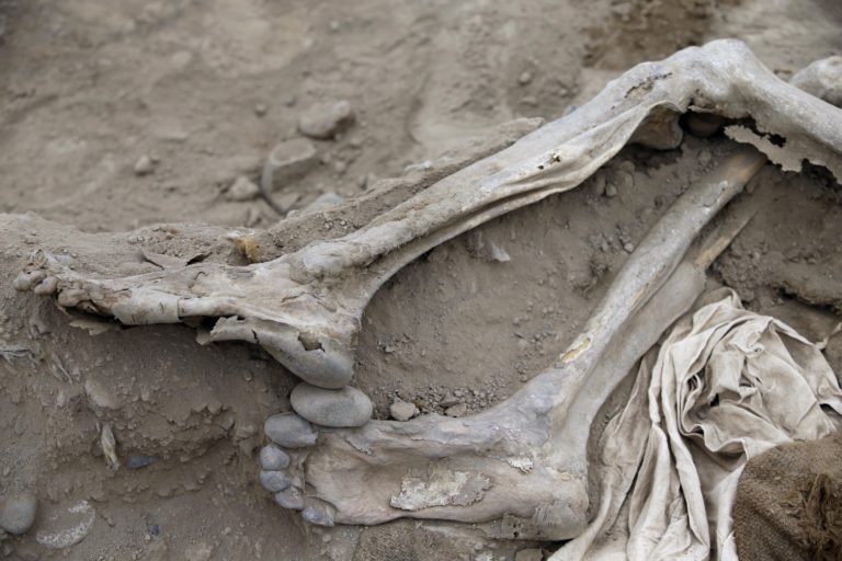 Archeológovia; migranti
