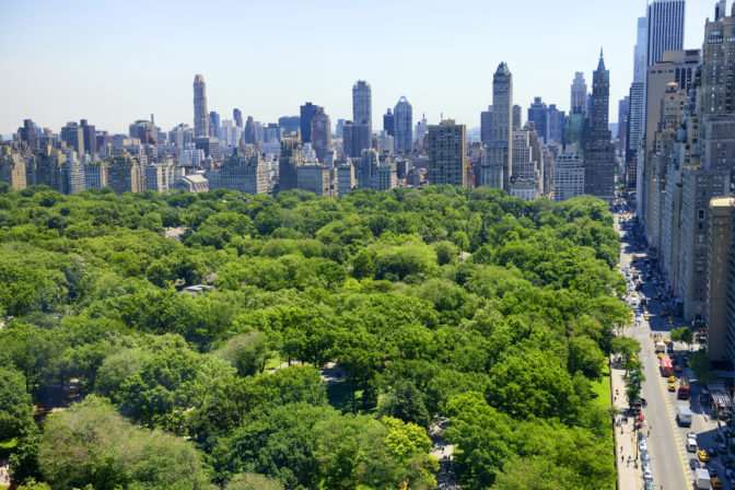 Central Park; New York