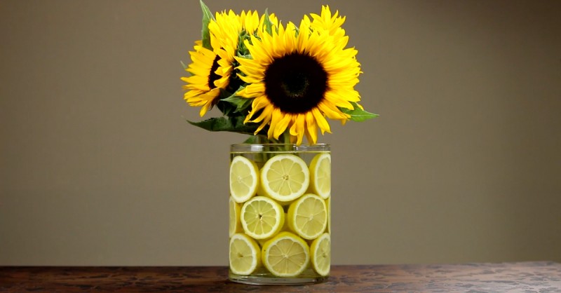 Citrony kvety.jpg