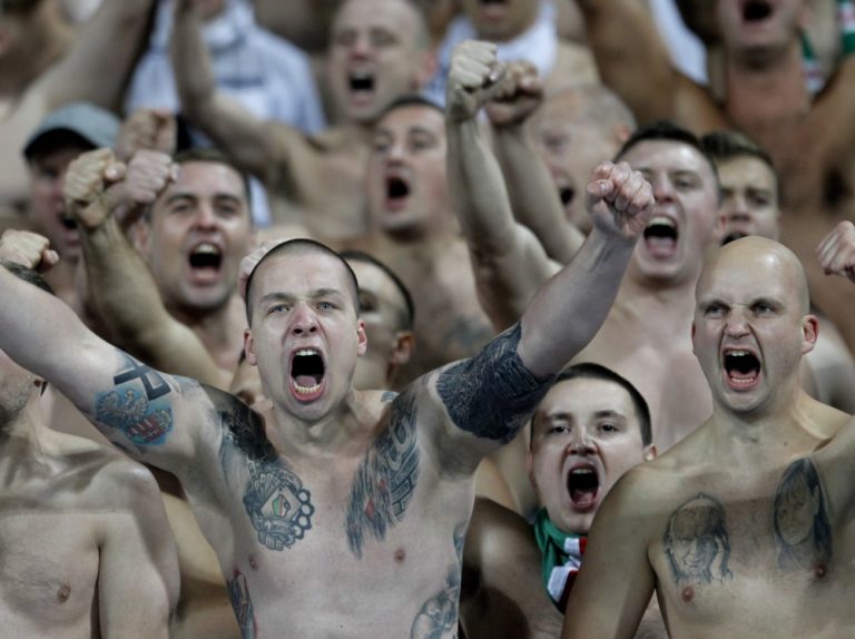 Legia fanusikovia.jpg