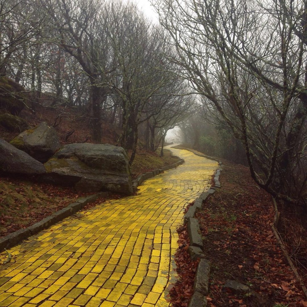 Opusteny park.jpg
