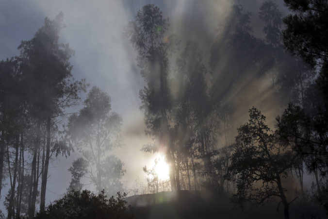Portugalsko; lesné požiare