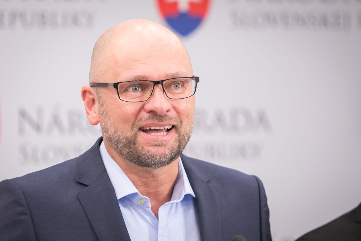 Richard Sulík; SaS