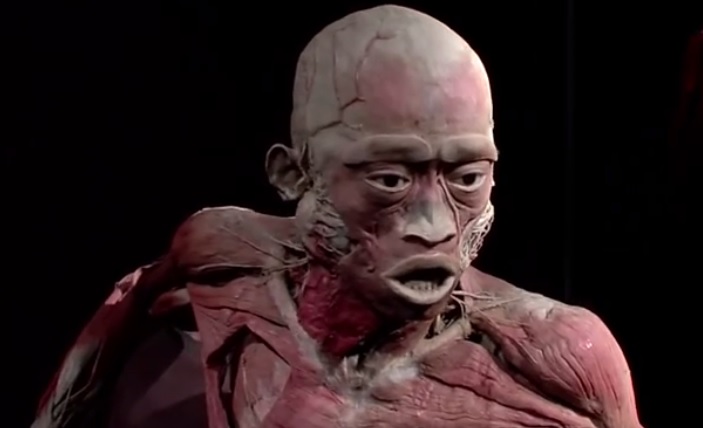The human body exhibition.jpg