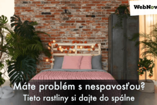 Máte problém s nespavosťou? Tieto rastliny si dajte do spálne