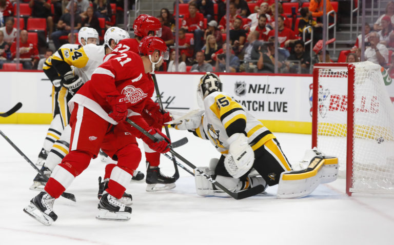 Penguins Red Wings Hockey
