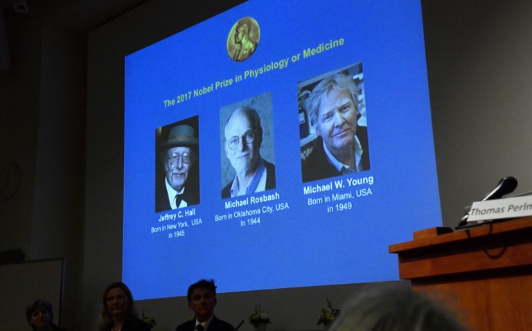 Jeffrey C. Hall, Michael Rosbash, Michael W. Young