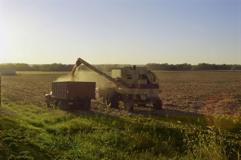 Poľnohospodárstvo, pole, rola